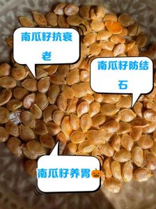 南瓜子和白瓜子的区别_口感营养大不同