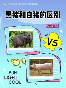猪属于什么食性动物_猪杂食性高适应广，野性凶猛智商高，早期驯化地位重