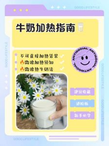 牛奶榨汁机的多样用法与创新搭配探索——红烧肉风味的别样体验