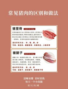 莺歌嘴与梅头肉的区别_带骨烤炖，粤菜经典！
