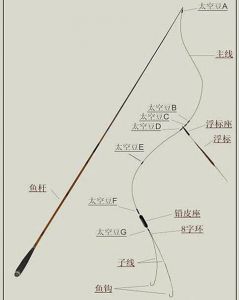 钓鲤鱼用什么线组_钓鲤鱼线组怎么选？大小鱼通用搭配法