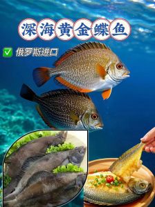 鲽鱼俗称叫什么_鲽鱼全身可食用，肉质鲜美营养丰富