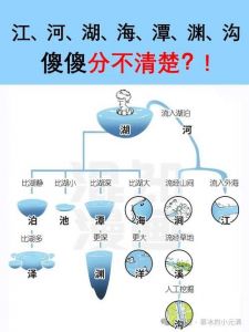 燀、焯、汆、飞水有何区别_烹饪小技巧提升口感