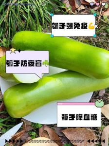 付瓜学名叫什么_吉祥营养，多汁美味