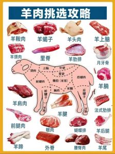 羊三叉肉是哪个部位_羊三叉肉适合火锅，肉质紧实有嚼劲