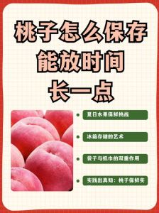 水蜜桃怎么做好吃的多样做法与食用技巧解析