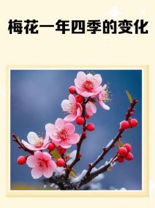 冬来梅花盛秋天什么东西最汪_立冬赏花品茗，感悟时光诗意