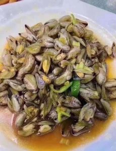 淡水长得像海瓜子_广东绥江现淡水海瓜子？生态入侵风险高