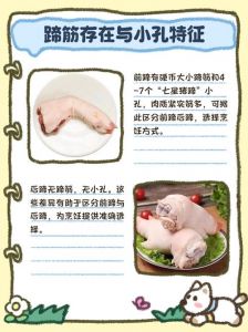 羊蹄与猪蹄的区别_羊蹄胶原好，强筋低脂选它，猪蹄香糯卤着吃