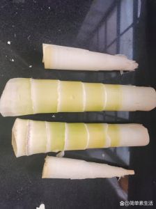 小笋子焯水几分钟_焯水去涩，竹笋更鲜嫩