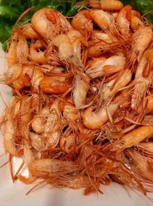 小虾的食物_科学喂虾，颗粒饲料为主，促进生长增免疫