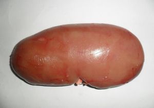 猪腰为什么有尿味_清洗剜筋花椒醋姜炒，风味佳