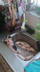 鱼精正确位置图片_独特食性象征，辟邪纳福饰品