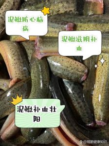 江鳅和泥鳅的区别图_江鳅泥鳅怎么分？外形食性有不同