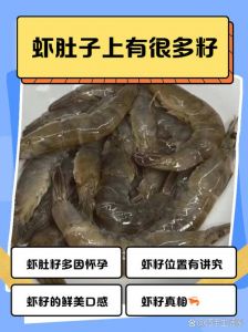 虾孱怎么读_虾孱 xiā chán，虾样水声古文词