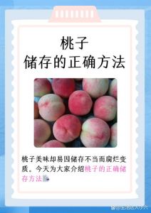 水蜜桃一热就熟了：详细介绍水蜜桃的采摘、保存及食用做法