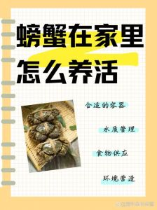 螃蟹可以深水养吗_家养螃蟹水深多少合适？