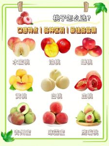 树熟水蜜桃的选购与食用指南：了解其产地、特色与食用方法