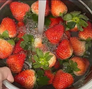 草莓直接用清水洗干净吗_草莓凹槽清洗妙招