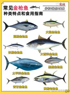 剑鱼和金枪鱼是一种吗_剑鱼金枪鱼是两种不同的鱼