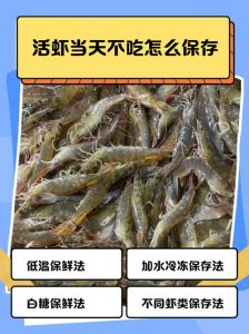虾没有氧气可以活吗_虾不用打氧？看环境！