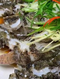 河川沙塘鳢和笋壳鱼的区别_区分及垂钓技巧