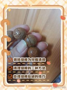 清理核桃缝隙污垢妙招_核桃缝隙清洁妙招