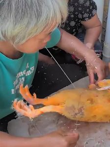 鸭子快速去毛的方法_去除鸭毛方法多，烫蜡酒碱各有妙