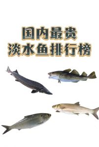 水里的鱼是淡水鱼吗_鱼不全是淡水鱼，有些能适应海水
