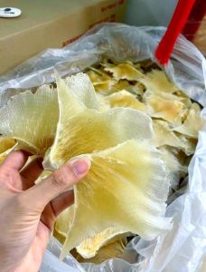 翅群和鱼翅区别_翅群种类与真假鉴别