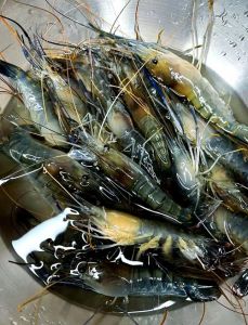 大个头罗氏虾焯水几分钟_大虾白灼7-10分钟，红亮鲜甜味最佳