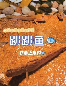 跳水鱼为什么叫跳水鱼_鲜嫩活跳四川名菜