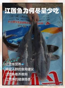 江团和鲶鱼的区别图片_江团鲶鱼外观区别大