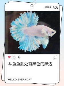 鱼鳃旁边叫什么部位_鲜美胶状肉，生滚粥佳品