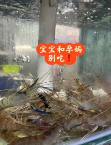 鳊鱼吃虾吗_虾饵加窝料，避杂鱼提竿多
