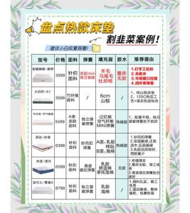 宿舍床垫怎么选才不会踩坑_床垫选对尺寸，舒适便携不能少