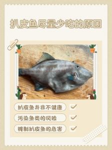 烤鱼片为什么要扒皮_绿鳃马面鱼，皮厚肉嫩，营养高