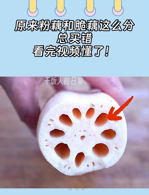 生藕粉和熟藕粉的分别_生熟藕粉口感营养差异,中医分时食用 生藕粉和熟藕粉的分别_生熟藕粉口感营养差异,中医分时食用