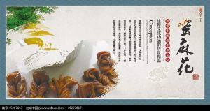 麻花豆MV永久免费网站：了解其制作方法与美食文化背景