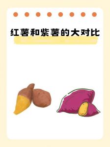 红薯跟地瓜谁大_红薯地瓜有啥区别？