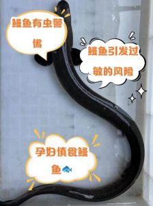 家鳗和河鳗的区别_习性营养大不同