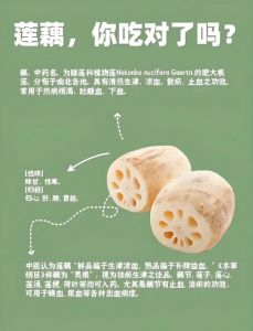 藕容易熟吗_莲藕怎么煮？时间与口感全攻略