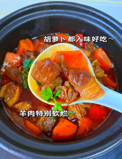 大厨红烧羊肉的做法_选鲜羊肉，加姜葱料酒去腥，小火慢炖！