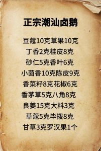 正宗潮汕卤鹅的做法_灵魂卤水配狮头鹅，皮脆肉香绝！