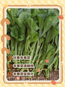 腌制冬菜保质期多久_冬菜保存期多久？方法决定！