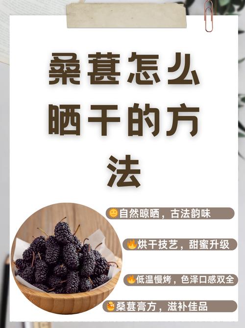 晒果干怎么制作方法_果干制作小窍门，烤盘架晾晒通风好！