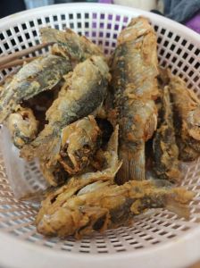 脆皮小黄鱼的做法最正宗的做法_炸鱼小酥肉天妇罗粉浆做法
