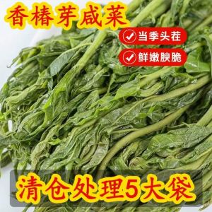 香椿咸菜的腌制方法_香椿腌咸菜，留住春天鲜香味