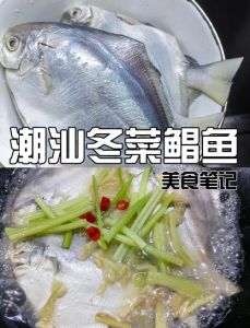潮州冬菜的做法大全_腌出鲜美，粥汤鱼鲍都爱