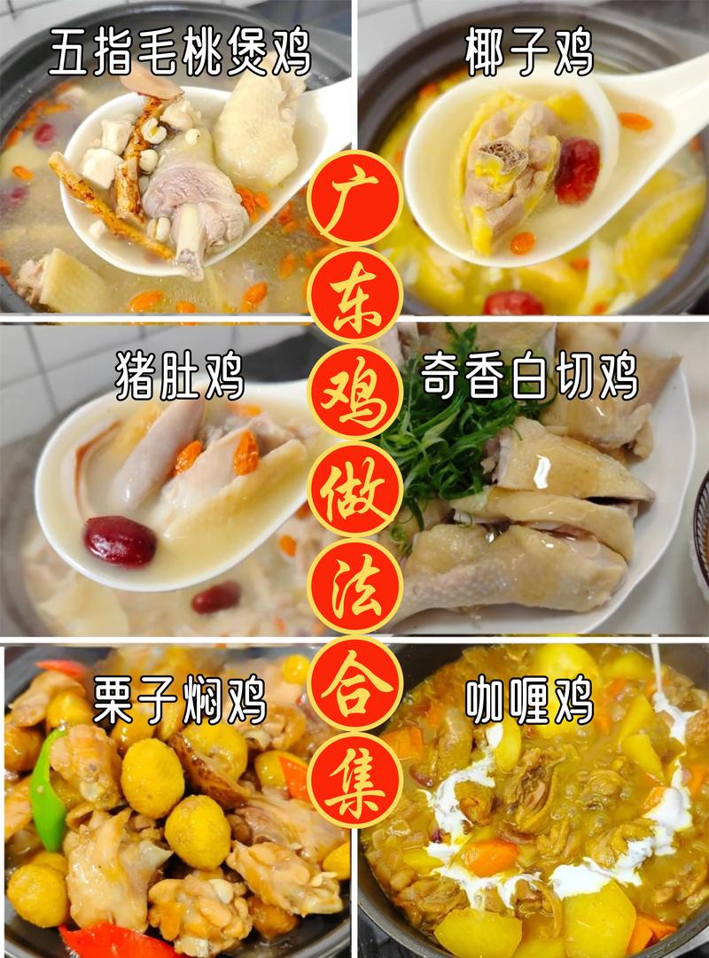 鸡的十大做法大全_十款经典鸡肉做法,鲜香美味! 鸡的十大做法大全_十款经典鸡肉做法,鲜香美味!